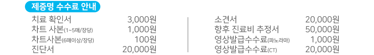 제증명 수수료 안내